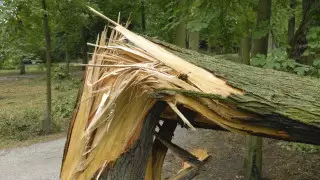 Подросток стал жертвой урагана в Павлодарской области