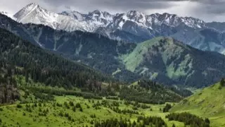 Известный юрист нашел новые скандальные подробности в сдаче в аренду Иле-Алатау