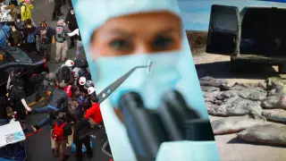 "Пойызда жолаушыларға чип тағып жатыр". Желіде тараған жалған ақпараттар