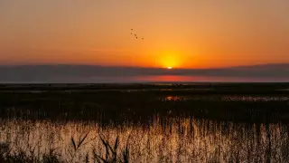 Жара спадет на юге Казахстана