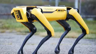 75 тысяч долларов. Стартовали продажи напугавших Сеть роботов-собак