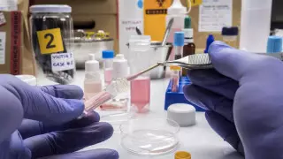 Часть судэкспертизы отдадут на аутсорс в Казахстане