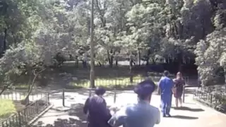 В скандальной истории с "продажей младенцев в Китай" появилось имя казахстанки