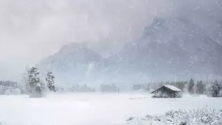 Обильный снег выпал в Жамбылской области