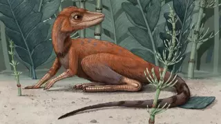 Миниатюрного предка динозавров обнаружили на Мадагаскаре