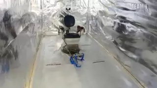 Камеры пыток в контейнерах нашли в Нидерландах