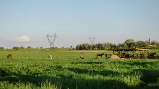 Токаев обещал закрыть вопрос продажи земель иностранцам