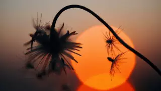 К казахстанцам обратились из-за сильной жары