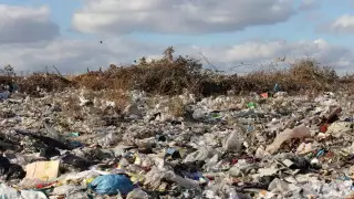 Куда пожаловаться на стихийные свалки