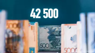 42500. В Минтруда ответили на вопросы казахстанцев