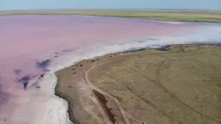 Кобейтуз хотят отдать бизнесменам на 49 лет