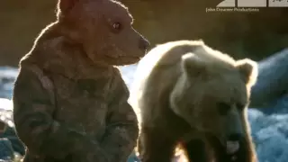 Ученые "внедрили" в семью медведей робота-шпиона