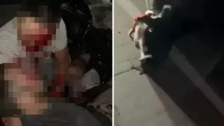 Автомобиль врезался в корову под Алматы: погиб мужчина