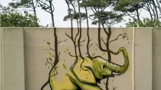 Слоны в трущобах. 20 идеально вписывающихся в городской пейзаж граффити