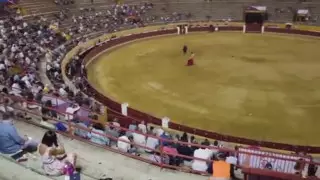 Первая коррида с начала карантина прошла в Испании