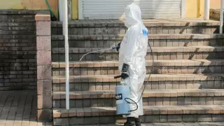 "Усыпляют под видом дезинфекции". В полиции Нур-Султана ответили на рассылку