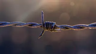 В Украине объявили большую распродажу тюрем