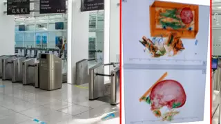 Женщину со скелетом в чемодане задержали в аэропорту Германии