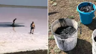 Проникшую на Кобейтуз семейную пару на Mercedes наказали