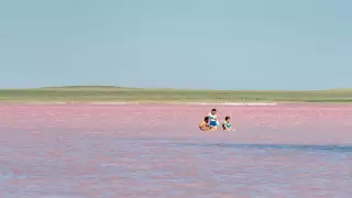 В розовом озере Кобейтуз нашли опасные вещества