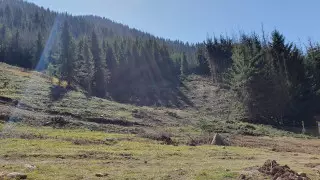"Передачу" земель Медеу, Бутаковки и Шымбулака назвали ошибкой