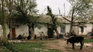 Акимат отказался платить людям деньги за тяжелую работу в Туркестанской области