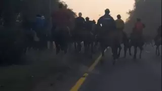 Всадники устроили кокпар на трассе Алматы - Бишкек