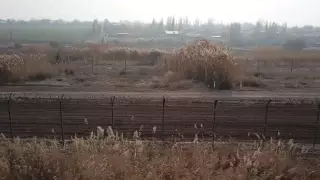 Узбекистан планирует строить город на границе с Казахстаном