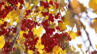 В Казахстане похолодает на выходных