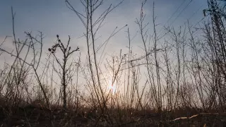 Заморозки ожидаются в двух регионах Казахстана