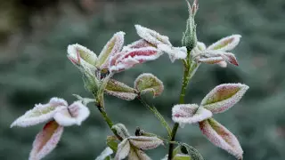 Заморозки до 1 градуса ожидаются в Нур-Султане и нескольких областях