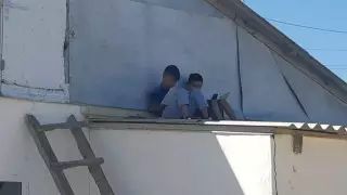 Министр екі баланың төбеге шығып сабақ оқуына қатысты пікір білдірді