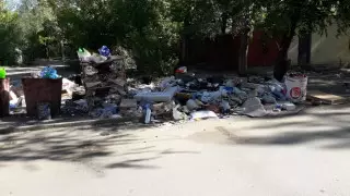 "Город превратился в помойку". Карагандинцы пожаловались на мусорный коллапс