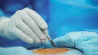 Посмертное донорство в Казахстане: как отказаться или согласиться