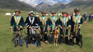 "Итбегілік" хотят признать официальным видом спорта в Казахстане