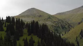 9-летний мальчик сорвался с пика Фурманова в Алматы