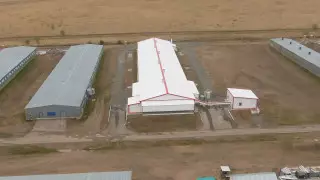 На 18 миллионов яиц в год увеличит поставки птицефабрика в ЗКО