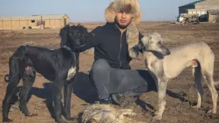 Меняли на невест и сажали верхом на лошадь. Почему тазы стали любимыми собаками казахов