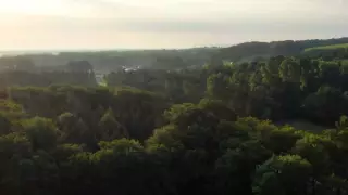 Ученые сделали "находку века" в Тевтобургском лесу