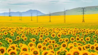 Стартовало онлайн-голосование за лучшее фото конкурса "Мой Казахстан"