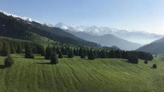 Токаев подписал закон о возврате Кок-Жайлау особого статуса