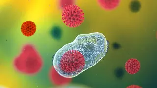 Натуральное средство от коронавируса нашли ученые