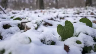 Дождь и снег ожидаются в некоторых областях Казахстана
