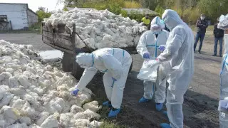 Президент высказал претензии Минсельхозу