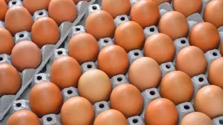 Яйца резко подорожали в Костанае из-за птичьего гриппа