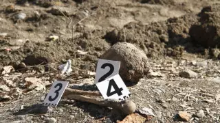 Около 300 мешков с человеческими костями нашли в немецком форту