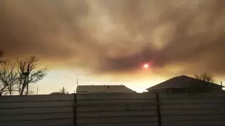 Дым от нового возгорания камыша вдоль Каспия пришел в Атырау. Съемка пожара с самолета 
