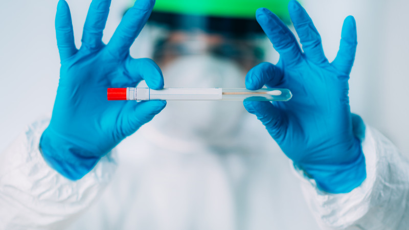 Фото:elements.envato.com