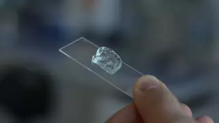 Казахстанские ученые из НУ создают "аватар человеческой кости". Что это такое