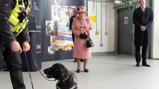 Королева Великобритании с весны не выезжала из Букингемского дворца